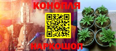 ешки Малгобек