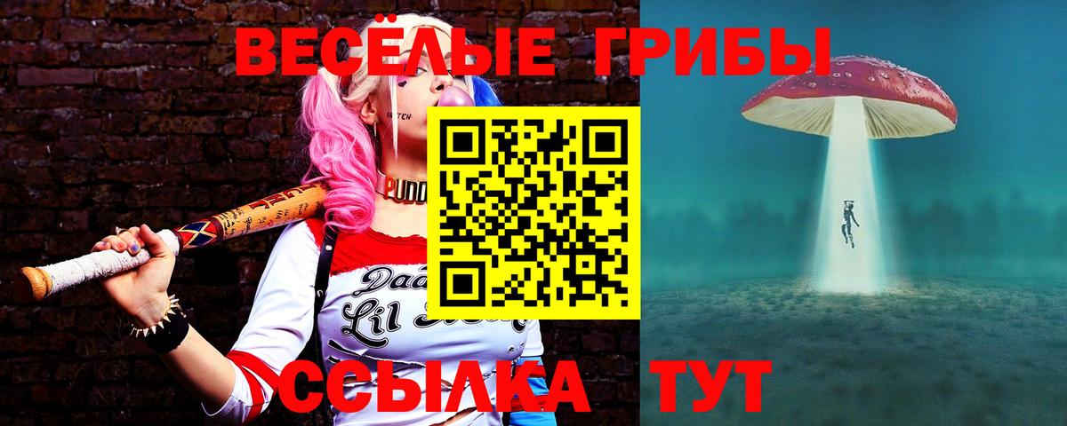 Избербаш  Галлюциногенные грибы мицелий  Вход с VPN 