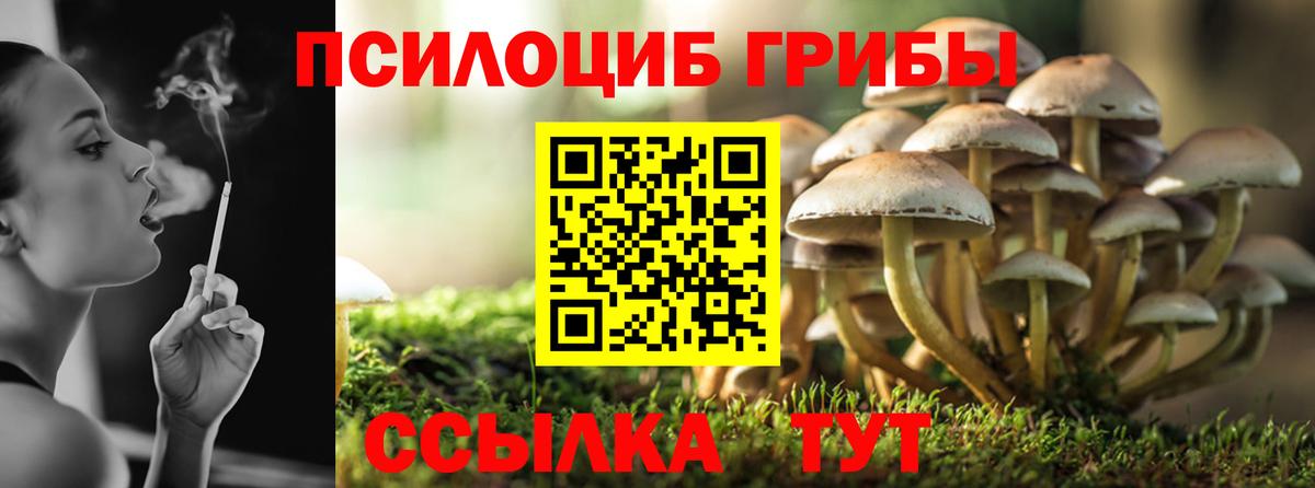 Галлюциногенные грибы Magic Shrooms Избербаш